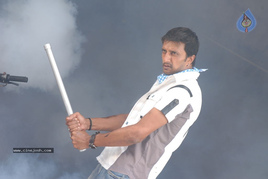 Rowdy Simha Movie Stills - 55 / 72 photos