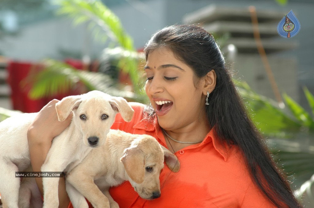 Sabdam Nisabdam Movie Stills - 9 / 22 photos