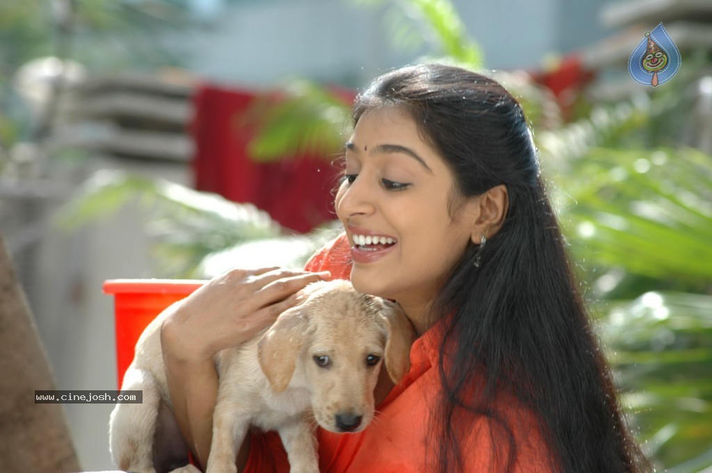 Sabdam Nisabdam Movie Stills - 22 / 22 photos