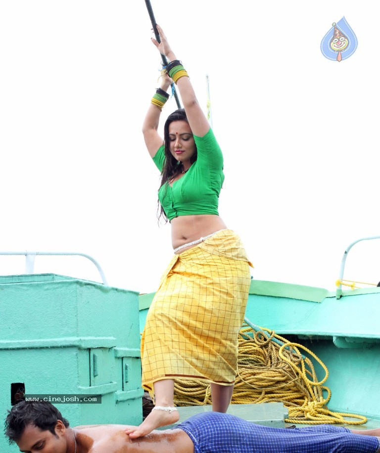 Sana Khan Hot Stills in Gajjala Gurram - 5 / 18 photos