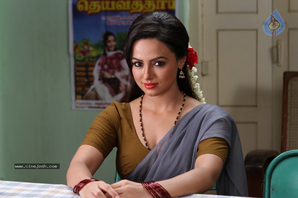 Sana Khan Hot Stills in Gajjala Gurram - 14 / 18 photos