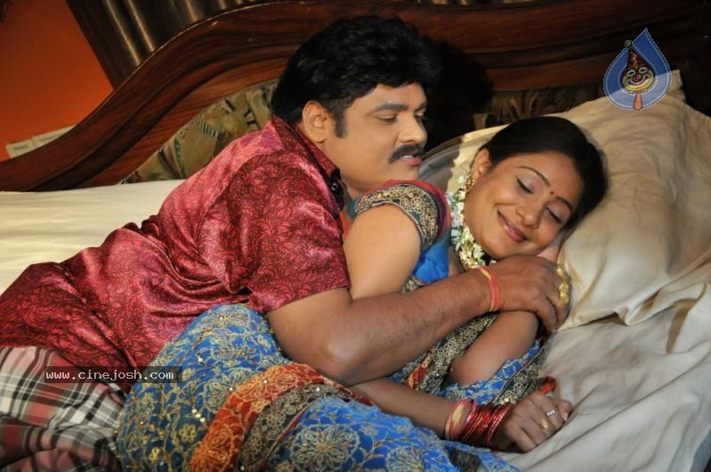 Sankranthi Alludu Movie New Stills - 13 / 47 photos