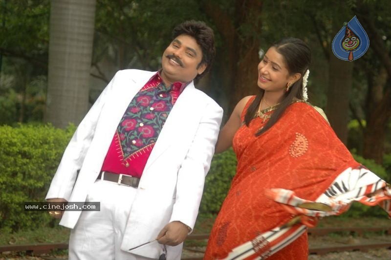 Sankranthi Alludu Movie New Stills - 18 / 47 photos