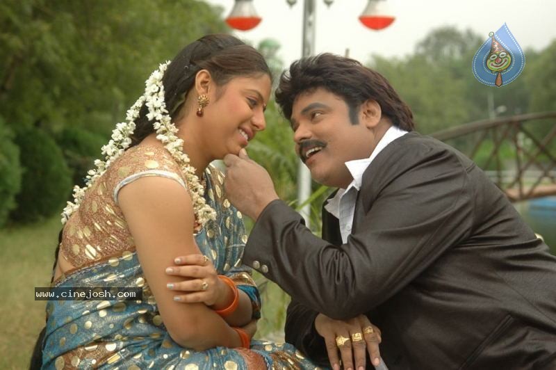 Sankranthi Alludu Movie New Stills - 30 / 47 photos