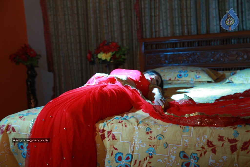 Sarena Movie Hot Stills - 41 / 46 photos