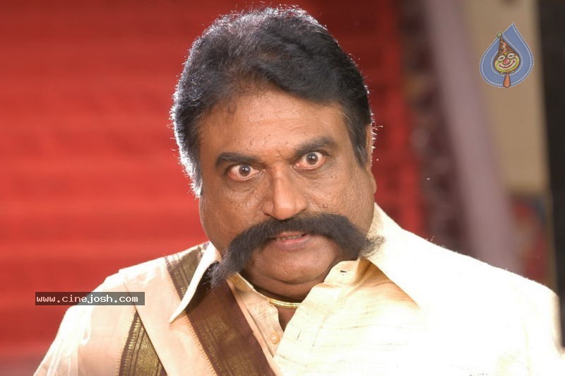 Seema Tapakai Movie Photo Gallery - 105 / 309 photos