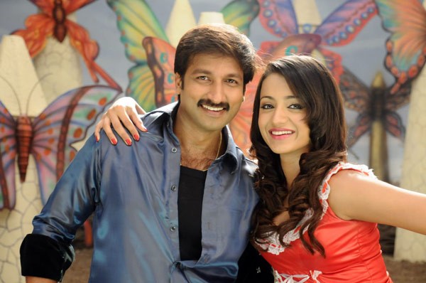 Shankam Movie Stills - Gopi Chand - Trisha - 20 / 22 photos