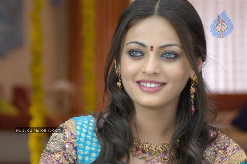 Simha Movie New Stills (CineJosh Exclusive) - 49 / 52 photos