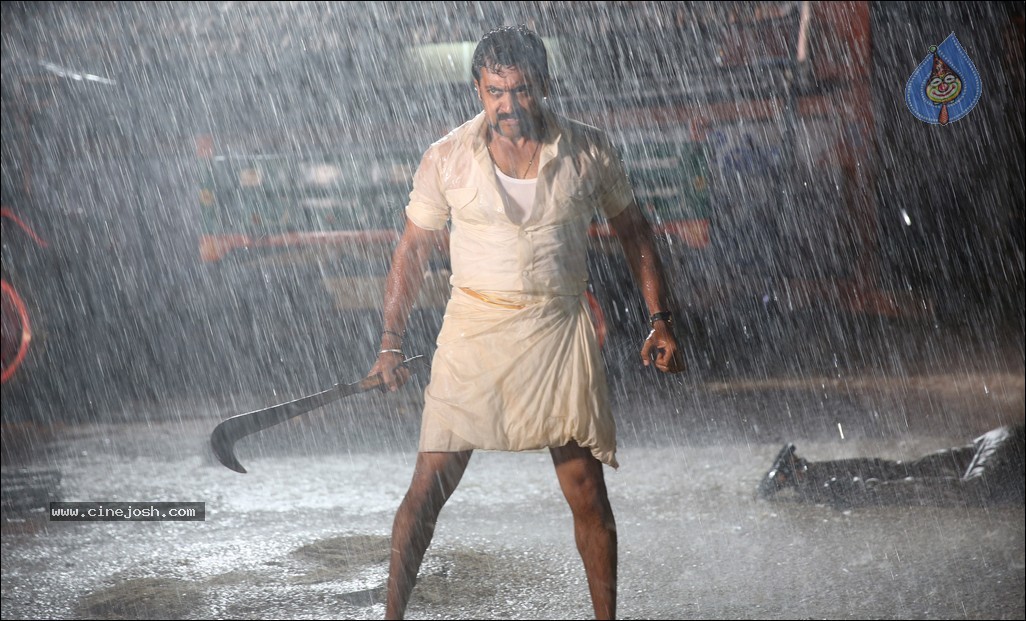 Singam Movie Stills - 34 / 67 photos