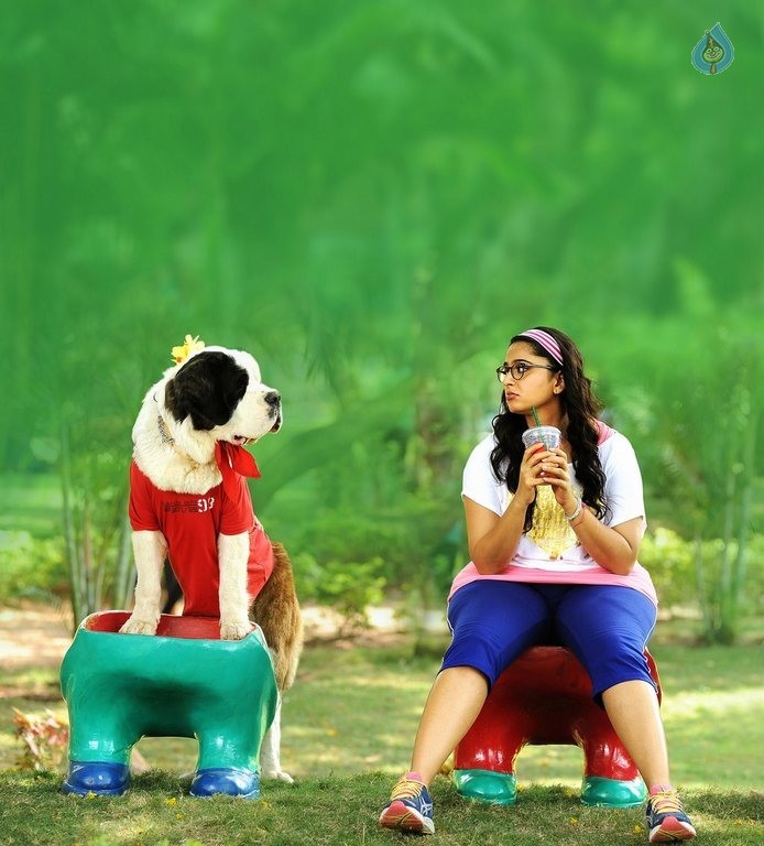 Inji Iduppazhagi Tamil Film Photos - 11 / 49 photos