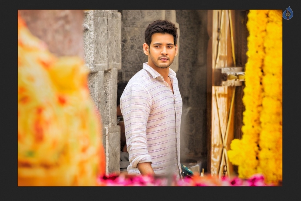 SPYDER Exclusive Still - 1 / 1 photos