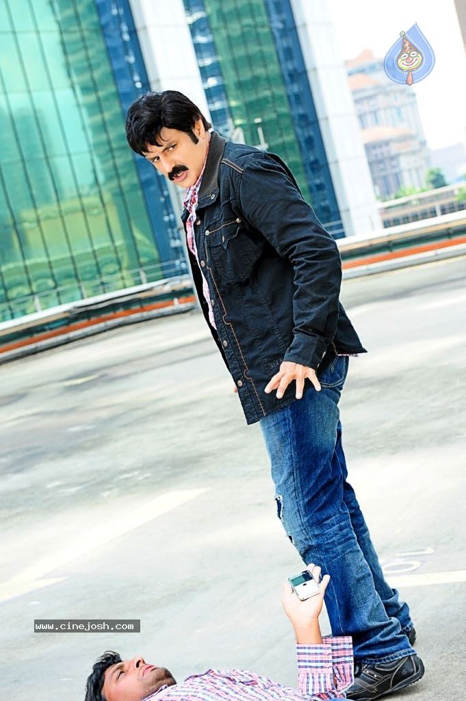 Srimannarayana Movie Latest Stills - 8 / 23 photos