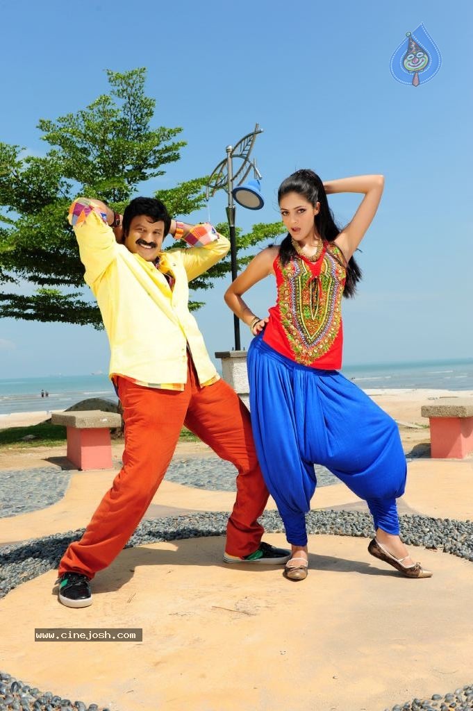 Srimannarayana Movie Latest Stills - 9 / 23 photos