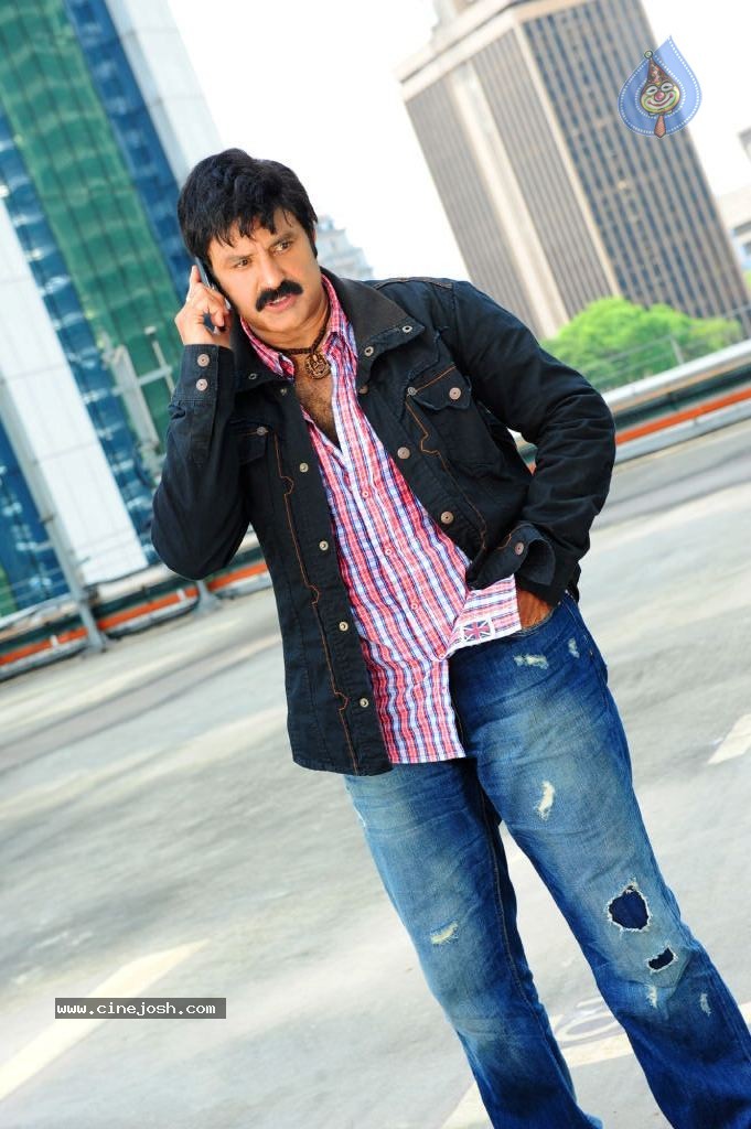 Srimannarayana Movie Latest Stills - 11 / 23 photos
