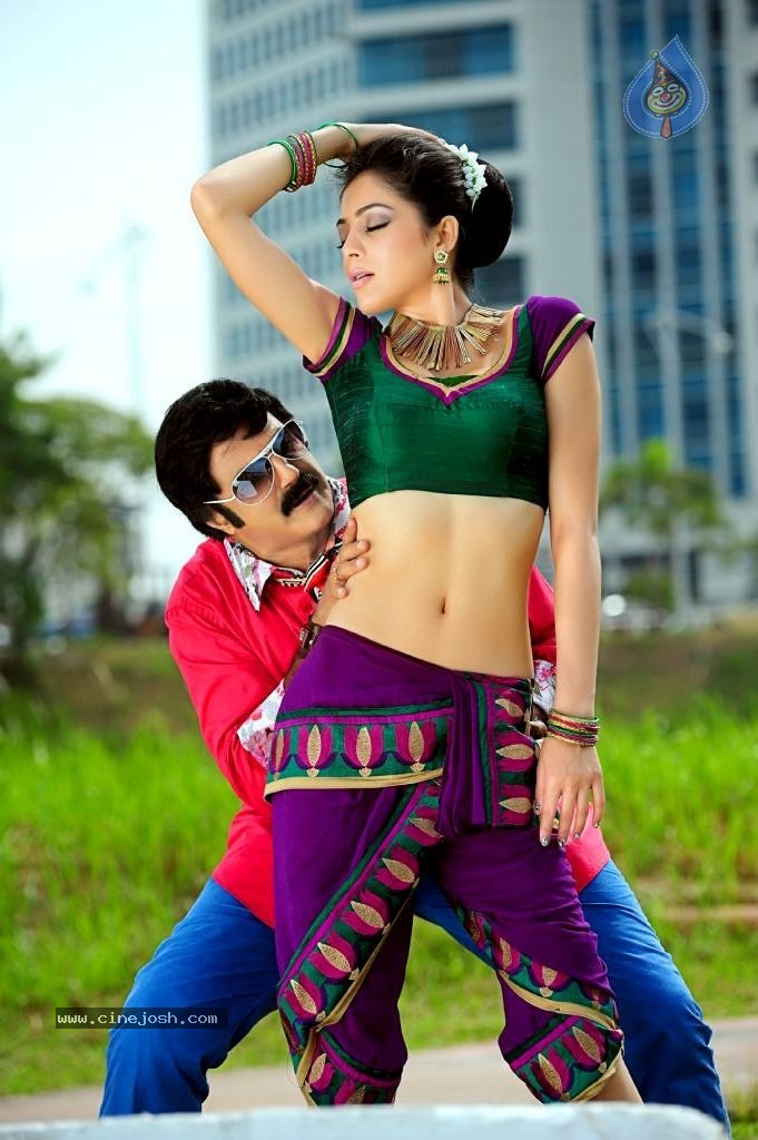 Srimannarayana Movie Latest Stills - 12 / 23 photos