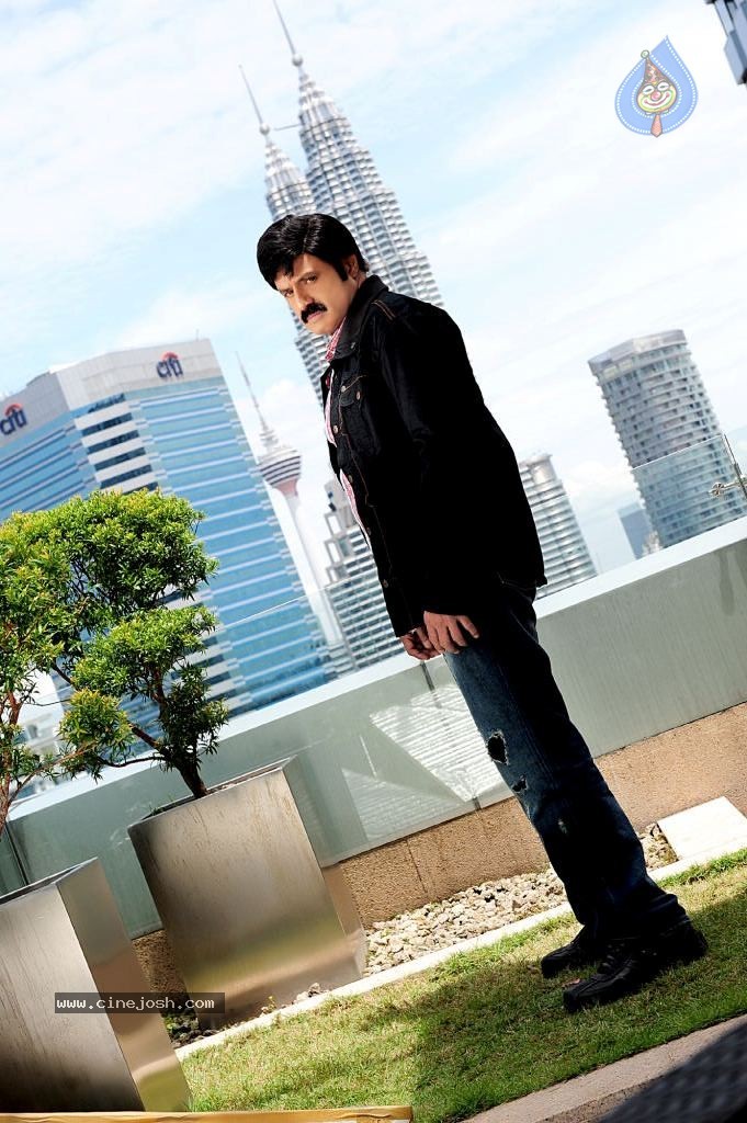 Srimannarayana Movie Latest Stills - 13 / 23 photos