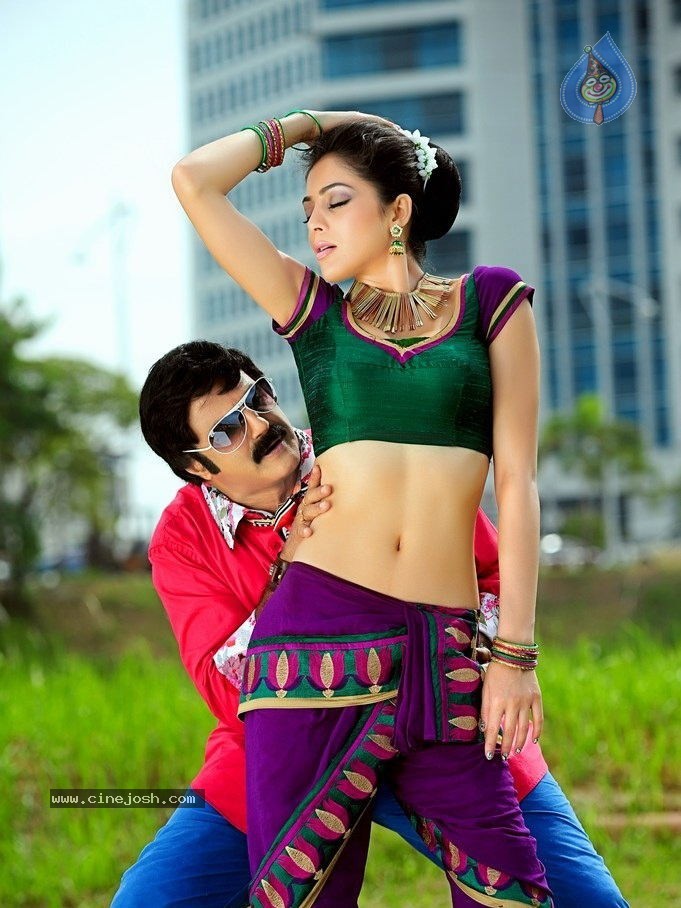 Srimannarayana Movie New Stills - 7 / 12 photos