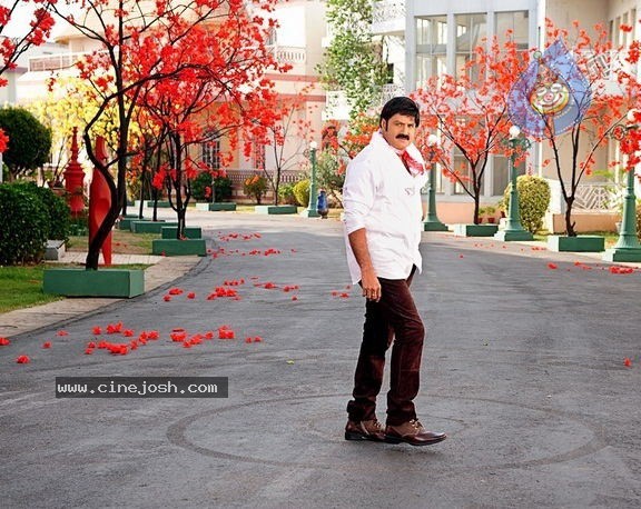 Srimannarayana Movie New Stills - 11 / 12 photos