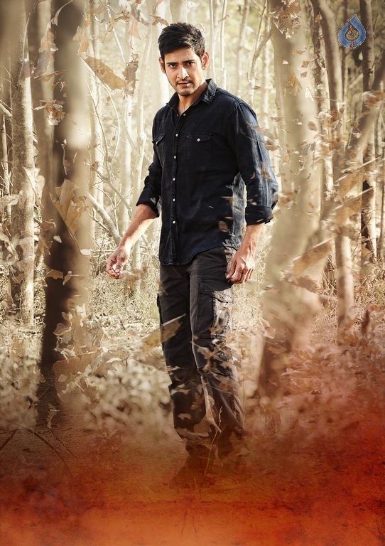 Srimanthudu New Photos and Posters - 43 / 61 photos
