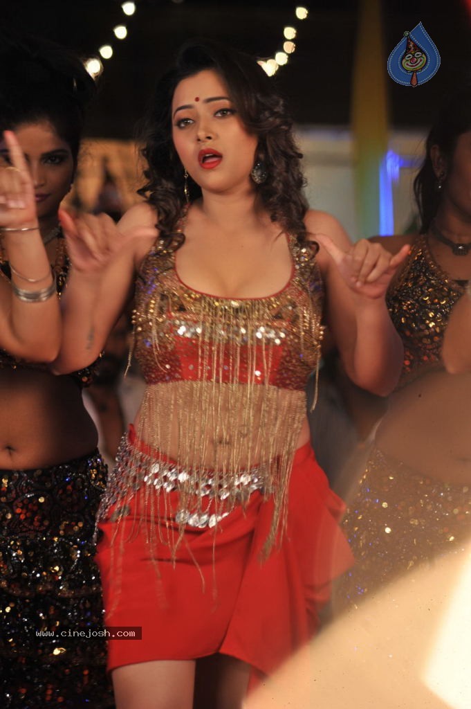 Swethabasu Item Song Stills in Intelligent Idiots - 2 / 27 photos