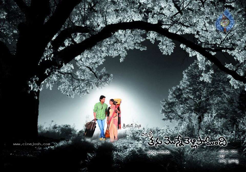 Tanu Monne Vellipoyinde New Posters - 11 / 12 photos