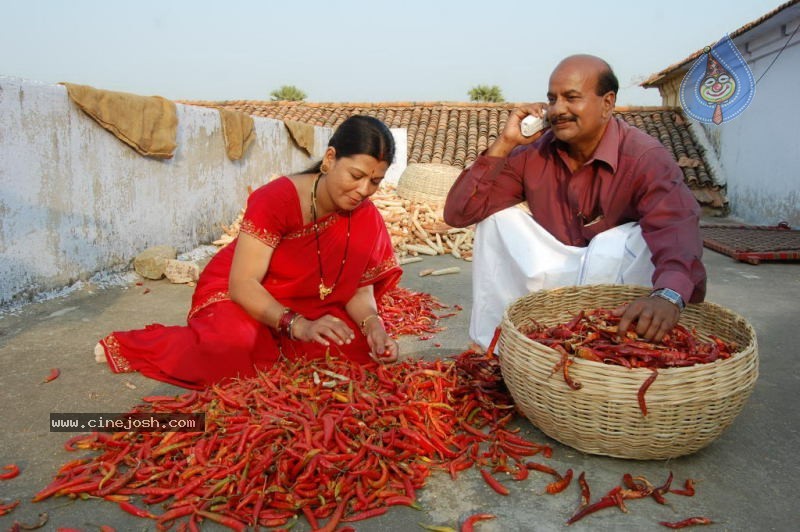 Telangana Godavari Movie Stills - 52 / 58 photos