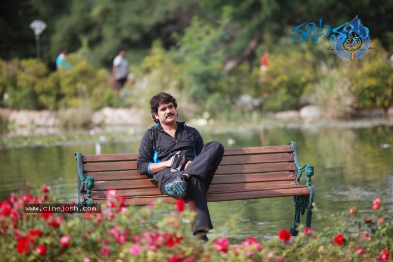 Thakita Thakita Movie Latest Photos - 37 / 64 photos