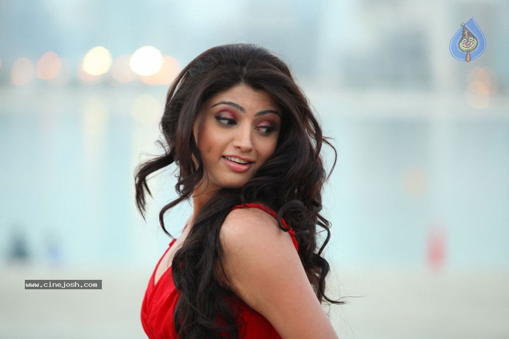 Thigar Tamil Movie Stills - 2 / 44 photos