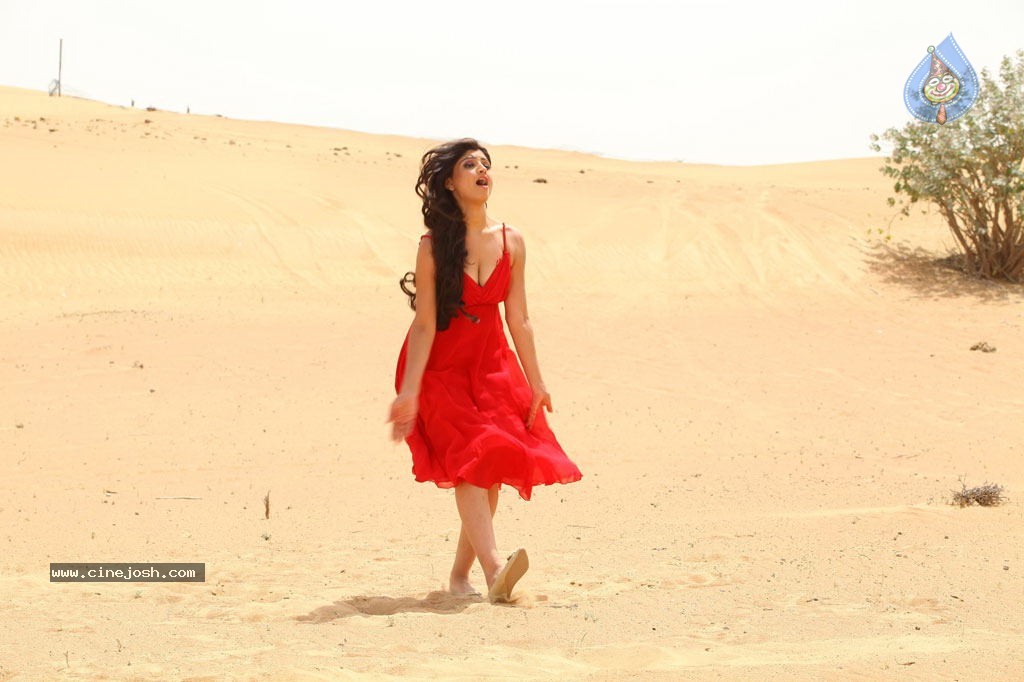 Thigar Tamil Movie Stills - 29 / 44 photos