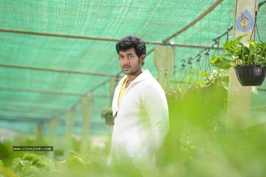 Tholi Sandhya Velalo Stills n Walls - 32 / 42 photos