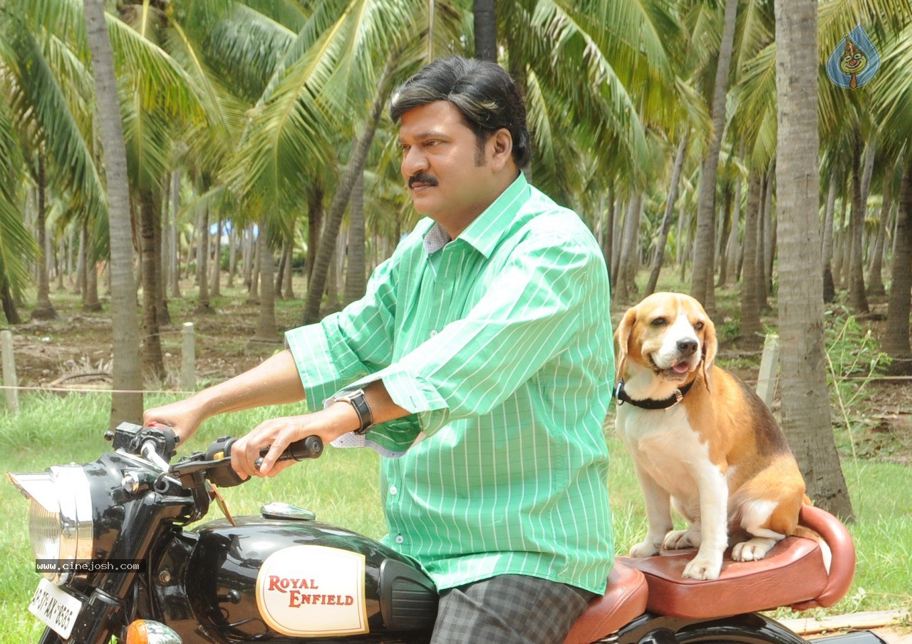 Tommy Movie New Photos - 13 / 15 photos
