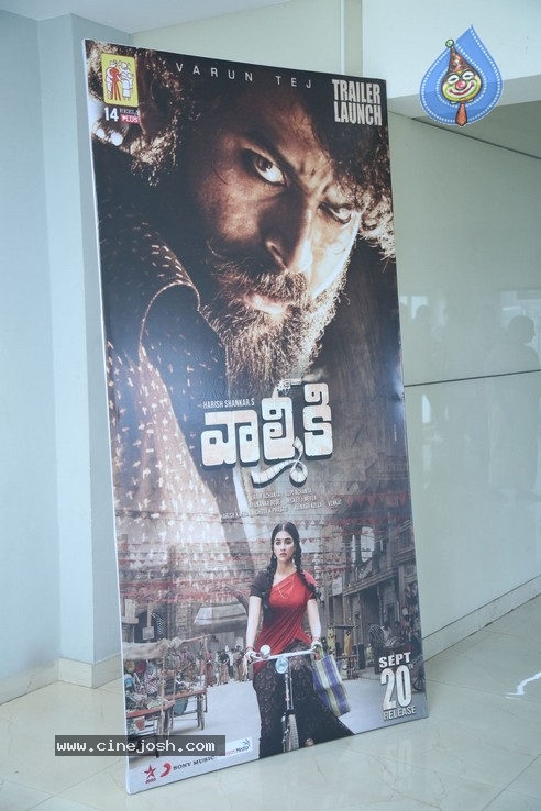 Valmiki Trailer Launch Pics - 20 / 39 photos