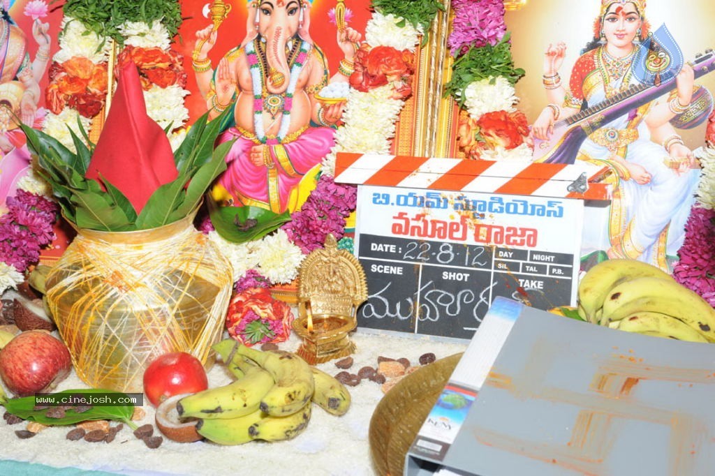 Vasul Raja Movie Opening - 18 / 100 photos