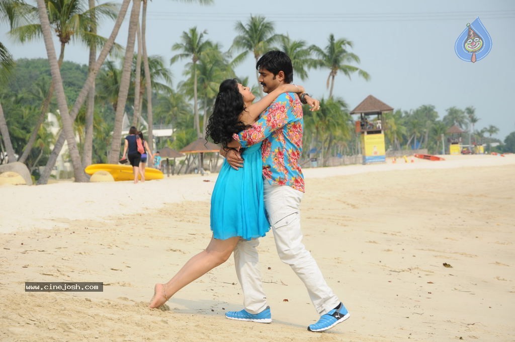 Veediki Dookudekkuva Movie Stills - 21 / 42 photos