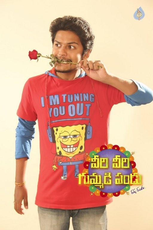 Veeri Veeri Gummadi Pandu Posters - 33 / 64 photos