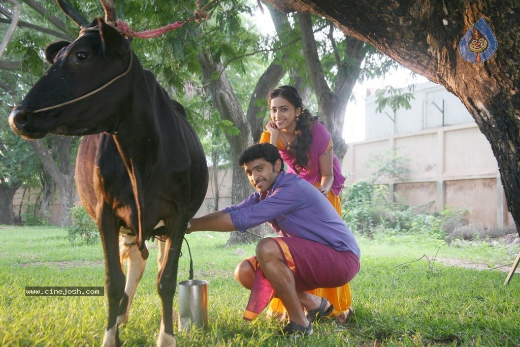 Vellakkara Durai Tamil Movie Gallery - 65 / 68 photos