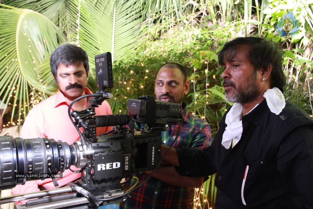 Venkatadri Express Movie Stills n Walls - 38 / 111 photos
