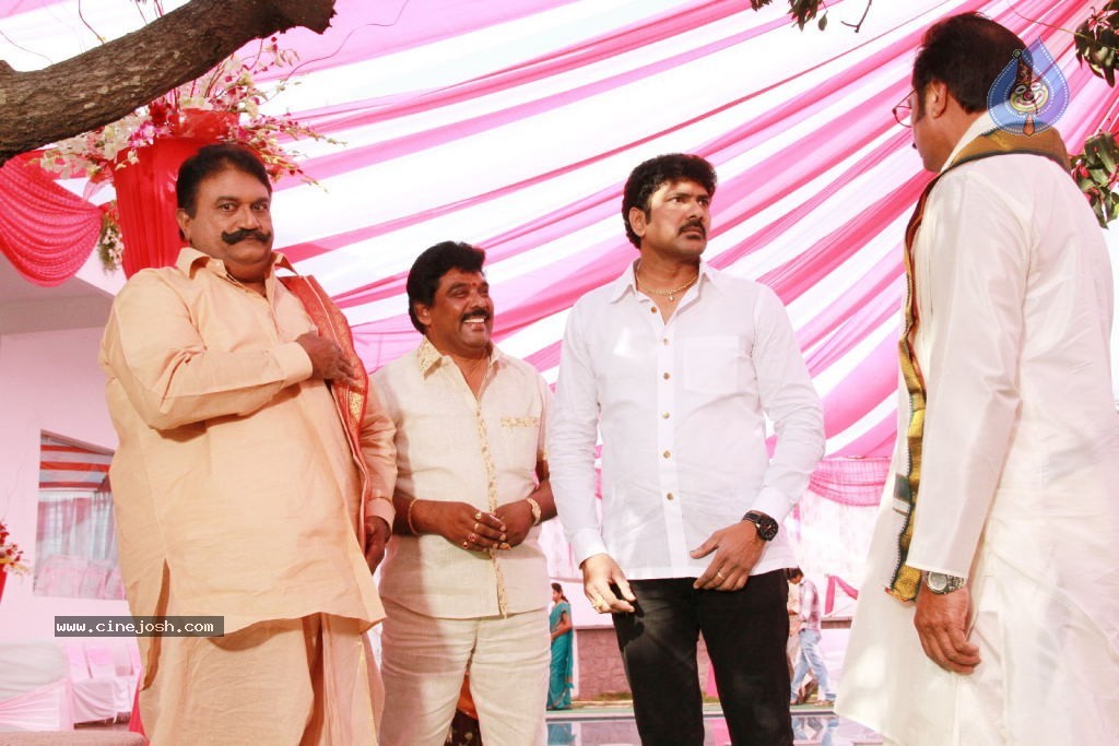 Venkatadri Express Movie Stills n Walls - 56 / 111 photos