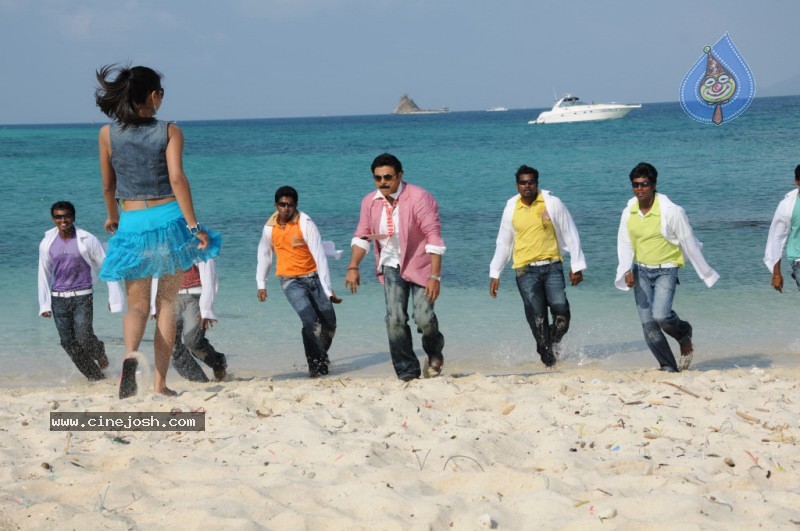 Colourful stills - Venkatesh,Trisha - Namo Venkatesa - 18 / 59 photos