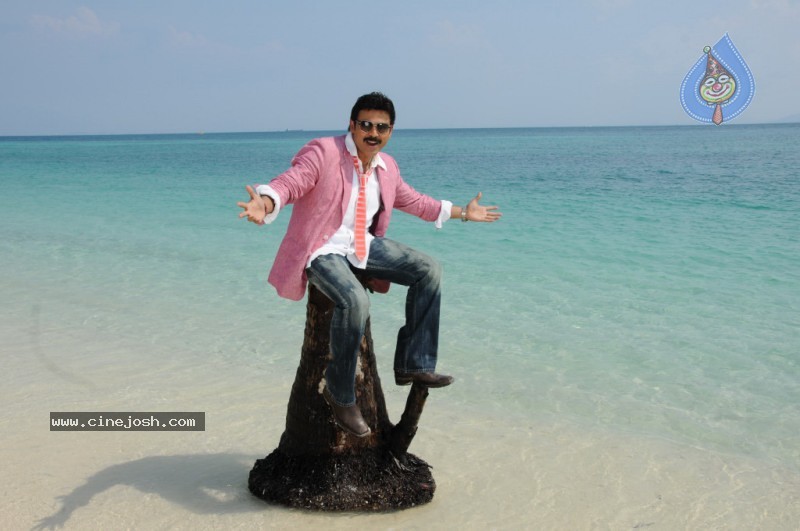 Colourful stills - Venkatesh,Trisha - Namo Venkatesa - 19 / 59 photos