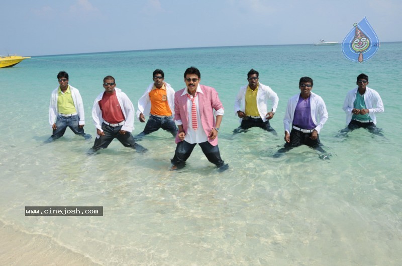 Colourful stills - Venkatesh,Trisha - Namo Venkatesa - 49 / 59 photos