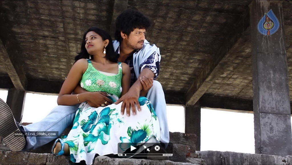 Vethika Nenu Naa Ishtamga Movie Photos - 10 / 15 photos