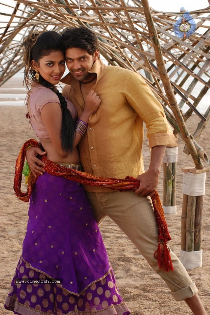 Vettai Tamil Movie Hot Stills - 30 / 39 photos