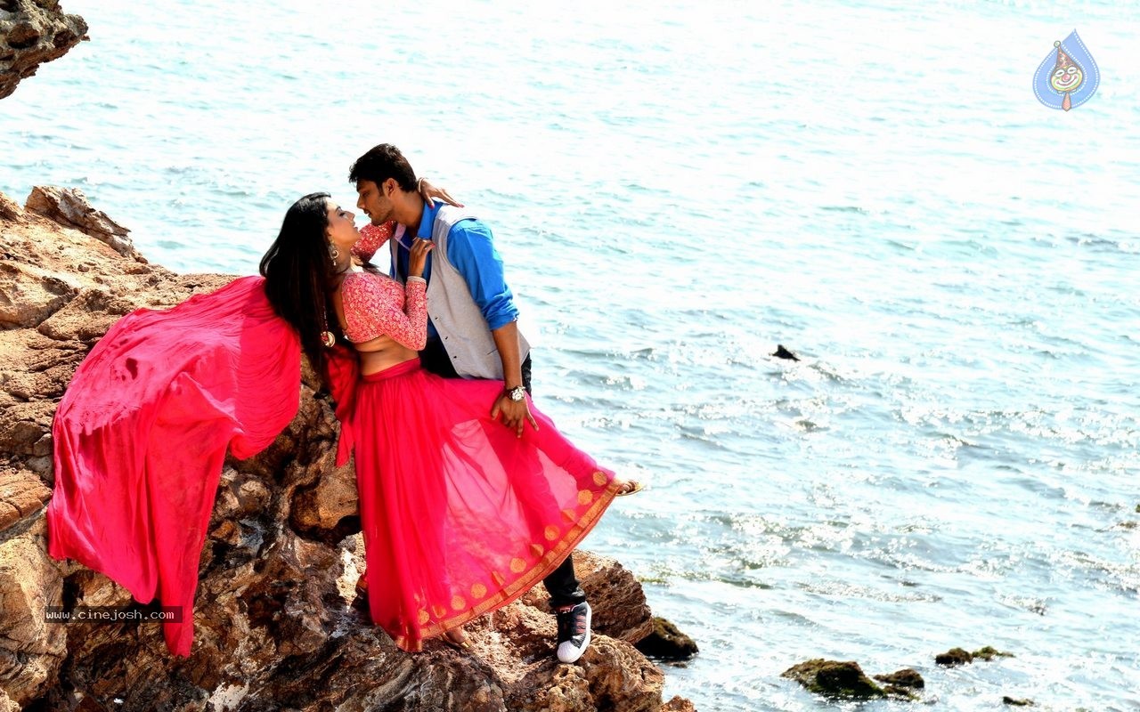 Where is Vidyabalan Movie Gallery - 6 / 109 photos