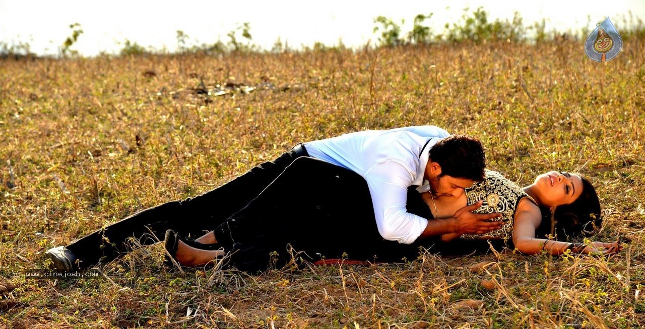 Where is Vidyabalan Movie Gallery - 76 / 109 photos