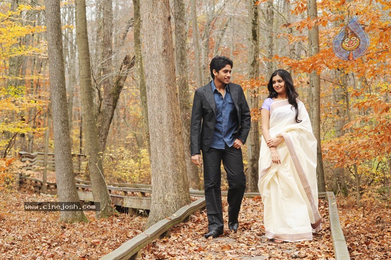 Yemaaya Chesave Movie Stills Gallery 2 - 24 / 25 photos