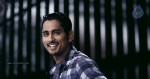180 Movie Latest Stills - 28 of 27