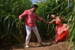 365 Days Movie Latest Stills - 14 of 31