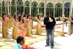 3 Idiots Tamil Movie Remake Working Stills  - 34 of 32