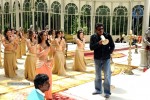 3 Idiots Tamil Movie Remake Working Stills  - 13 of 32